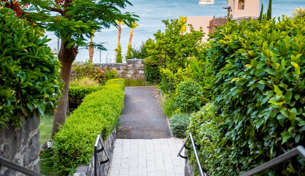 garden1
