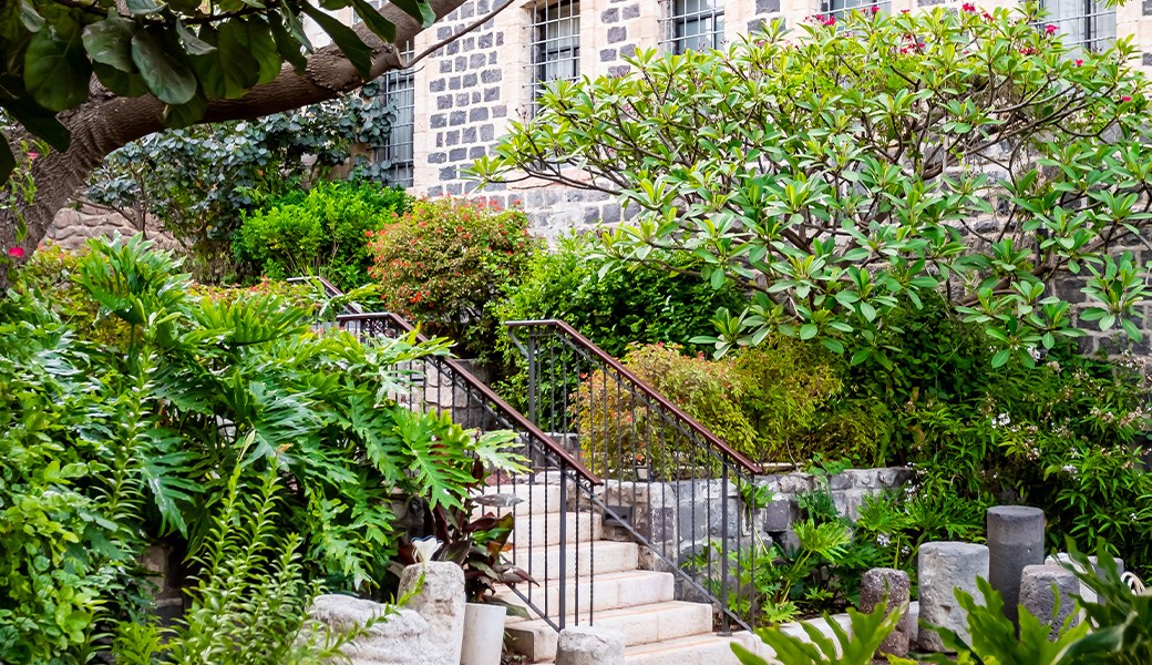 garden2