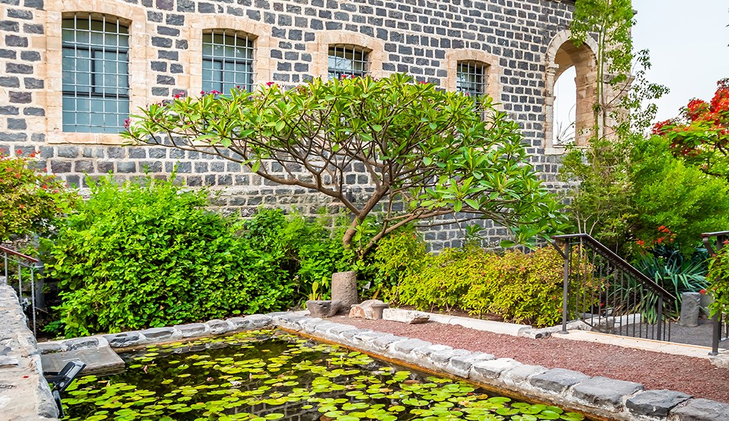 garden3